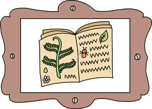 A Curious Herbal