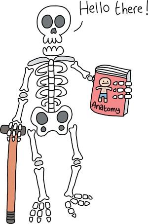 Vesalius' 'The Fabric of the Human Body'